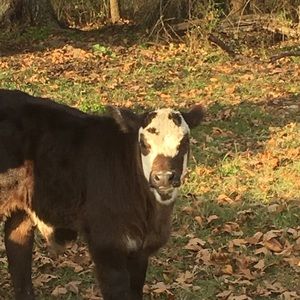 Meet your Posher, Heath